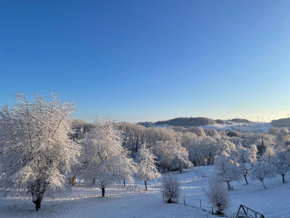 Ferien Im Schwarzwald - Ruhe & Naturverbunden Weilheim Екстер'єр фото