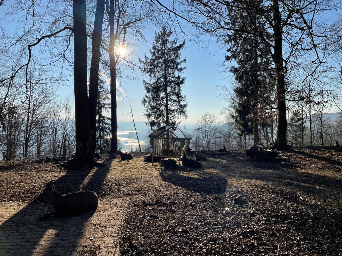 Ferien Im Schwarzwald - Ruhe & Naturverbunden Weilheim Екстер'єр фото